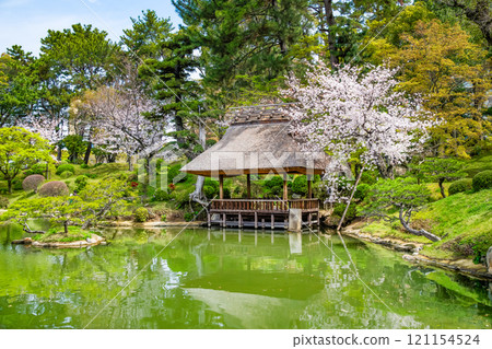 Hiroshima Shukkeien Garden: Sakuei Pond and Yuyutei Pavilion 121154524