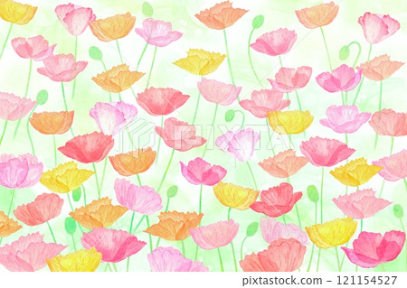 Landscape of a flower field with colorful poppies blooming. Watercolor illustration of spring in full bloom. Landscape of a flower field with colorful poppies blooming. Watercolor illustration of spring in full bloom. 121154527