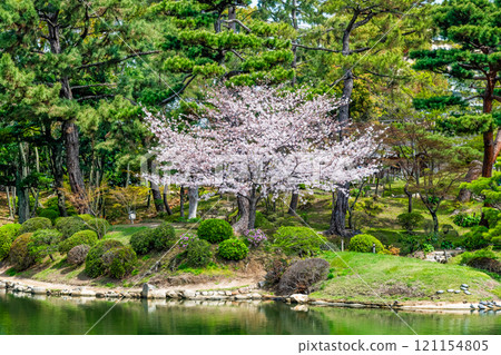 Hiroshima Shukkeien Garden in Spring - Sakuei Pond 121154805