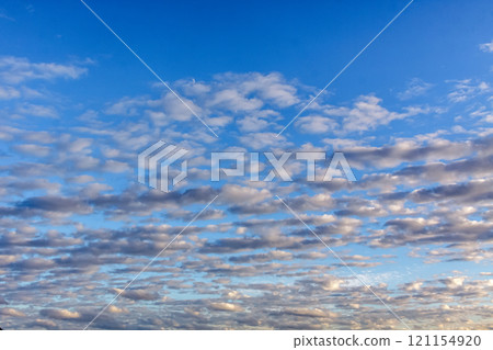 Clouds shining in the sun's oblique rays [Sunset scenery as background material] 121154920