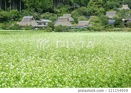 Miyama Kayabuki no Sato in early autumn Miyama Kayabuki no Sato in early autumn 121154939