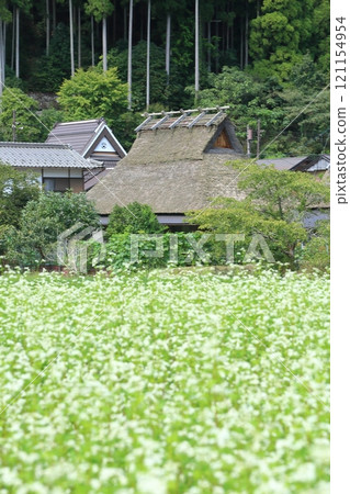 Miyama Kayabuki no Sato in early autumn 121154954