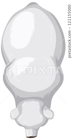 Top View of Polar Bear Illustration Top View of Polar Bear Illustration 121155000
