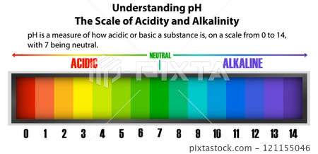 Understanding the pH Scale 121155046