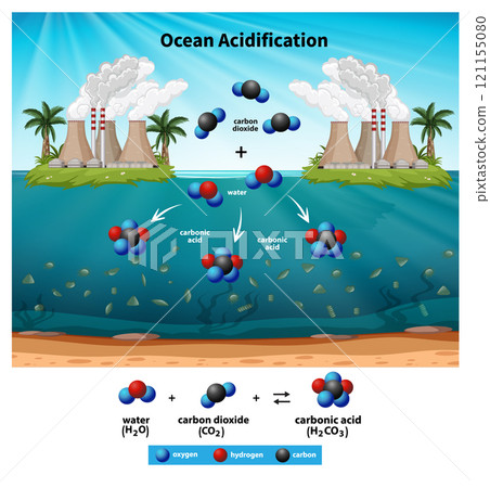 Ocean Acidification and Chemical Reactions 121155080