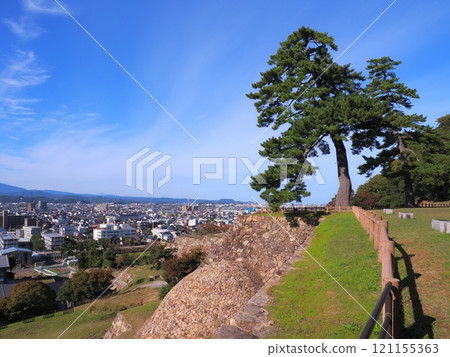 Tottori Castle: Tenkyumaru 2 Pine Trees and Stone Wall Remains 1 Tottori Castle: Tenkyumaru 2 Pine Trees and Stone Wall Remains 1 121155363