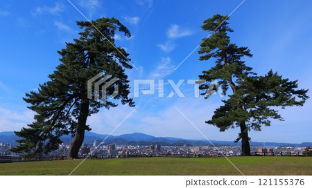Tottori Castle Ruins: Tenkyumaru's Two Pine Trees 1 121155376
