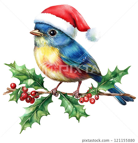 colorful bird wearing Santa hat on holly branch 121155880
