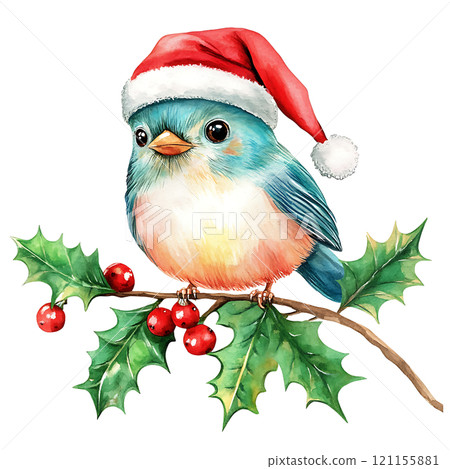 festive bird wearing Santa hat on holly branch 121155881