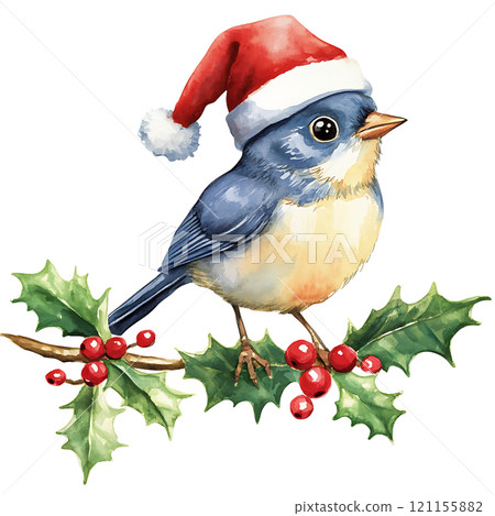 Festive bluebird wearing Santa hat on holly branch 121155882