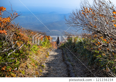 Climbing Mount Kurikoma in autumn leaves: The well-maintained central trail 121156154