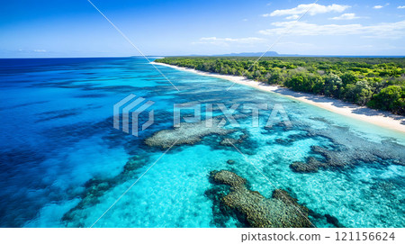 breathtaking aerial view of vibrant coral reef and clear blue ocean 121156624