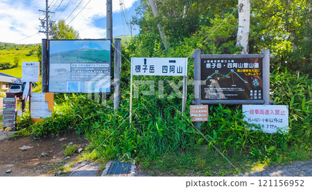 夏季攀登什葉派、貓山(菅平農場登山口) 夏季攀登什葉派、貓山(菅平農場登山口) 121156952