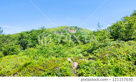 Summer climbing of Mt. Azuma and Mt. Nekodake (Nakaone Course: View of Mt. Nekodake) 121157030
