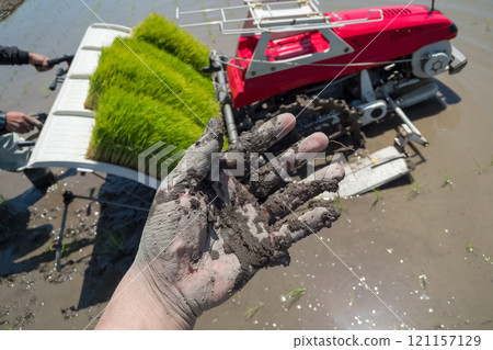 rice planting, hand, seeding 121157129