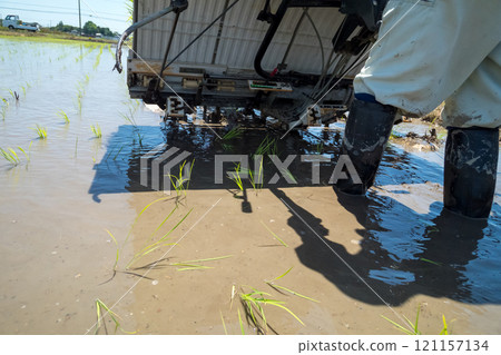 水稻種植 水稻插秧機 水稻 121157134