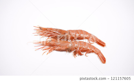 Shrimp 121157605