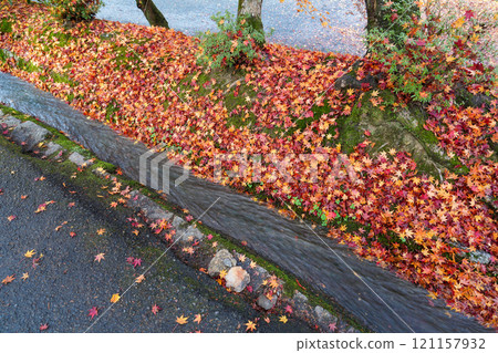 京都南禪寺,花開秋葉(攝於2024年12月) 京都南禪寺,花開秋葉(攝於2024年12月) 121157932