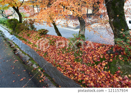 京都南禪寺，花開秋葉（攝於2024年12月） 121157934
