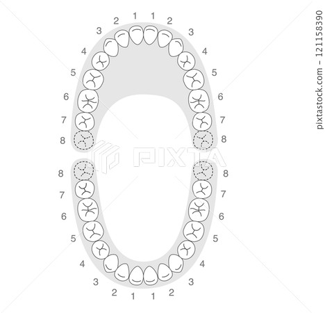 Black and white permanent teeth dentition 121158390
