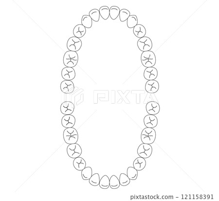 Black and white Permanent teeth dentition 121158391