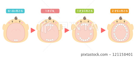 乳牙何時長出的說明以及張大嘴的嬰兒插圖 乳牙何時長出的說明以及張大嘴的嬰兒插圖 121158401