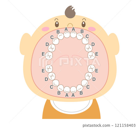 張大嘴的乳牙插圖 張大嘴的乳牙插圖 121158403