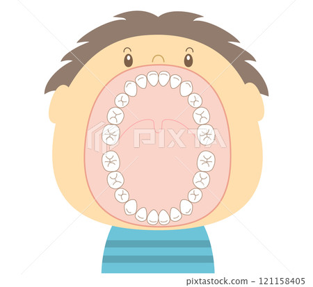 Illustration of the teeth of a child in mixed dentition stage with a wide open mouth 121158405