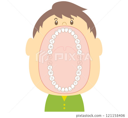 Illustration of adult teeth with a wide open mouth Illustration of adult teeth with a wide open mouth 121158406