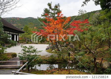 Konchi-in Temple in Nanzen-ji Temple, Kyoto, is home to the Toshogu Shrine, which enshrines the remains of Tokugawa Ieyasu's hair. 121158614
