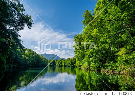 Fresh greenery at Kamaike Pond (Otari Village) Fresh greenery at Kamaike Pond (Otari Village) 121158858