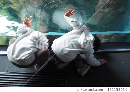 Kaiyukan, aquarium, synchronized 121158914