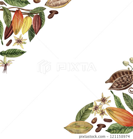 A frame with cocoa beans, branches, leaves, grains, flowers. The illustration of a tropical plant is hand-painted in watercolor in a botanical style. For the design of cards, menus, cafes, printing 121158974