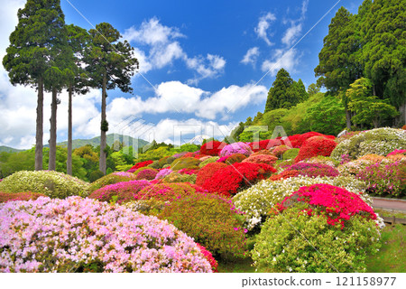 Kanto, Lake Ashi, Hakone, the former baron's villa, a magnificent azalea garden overlooking Mt. Fuji, Hakone Town, Kanagawa Prefecture (1) 121158977