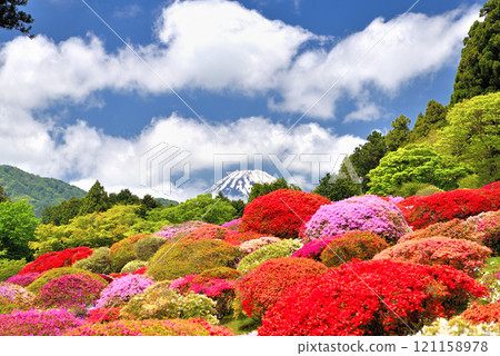 Kanto, Lake Ashi, Hakone, Former Baron's Villa, Mt. Fuji seen from the beautiful azalea garden, Hakone Town, Kanagawa Prefecture (1) 121158978