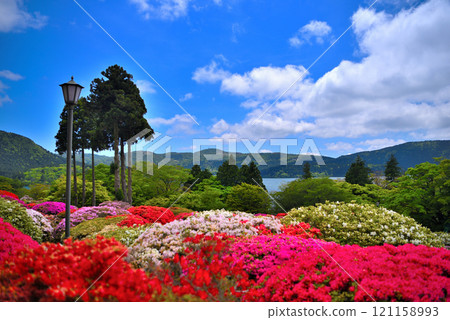 Kanto, Lake Ashi, Hakone, the former baron's villa, the beautiful scenery of Lake Ashi and the azalea garden, Hakone Town, Kanagawa Prefecture (2) 121158993