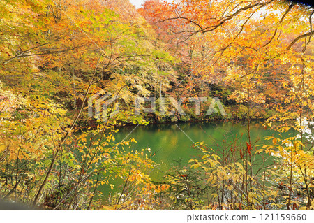 Beautiful autumn scenery of Kamaike Pond and the surrounding area 121159660
