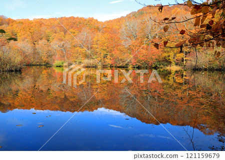Beautiful autumn scenery of Kamaike Pond and the surrounding area 121159679