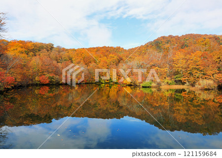 Beautiful autumn scenery of Kamaike Pond and the surrounding area Beautiful autumn scenery of Kamaike Pond and the surrounding area 121159684