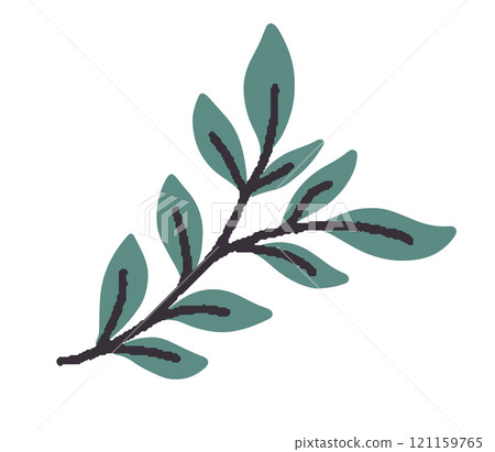 Minimalistic vector illustration leafy branch 121159765