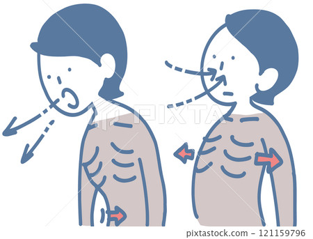 Movement of ribs and breathing 121159796