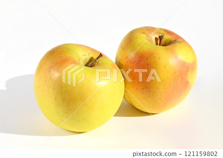 Apple (Gunma Natsuki) Apple (Gunma Natsuki) 121159802
