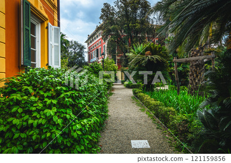 Ornamental garden with various green plants and palm trees, Italy Ornamental garden with various green plants and palm trees, Italy 121159856