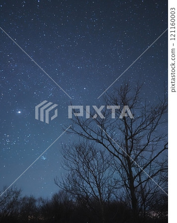 冬季銀河和冬季樹林 冬季銀河和冬季樹林 121160003