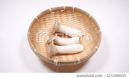 king oyster mushroom 121160033