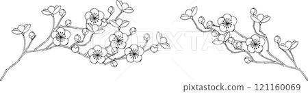 梅花的線條描插圖 梅花的線條描插圖 121160069