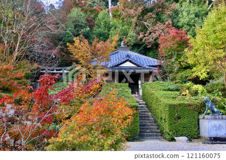 Daiganji Temple in autumn (Uda City, Nara Prefecture) 121160075