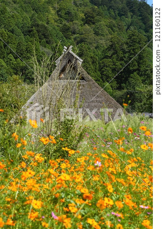 Miyama Kayabuki no Sato in early autumn Miyama Kayabuki no Sato in early autumn 121160122