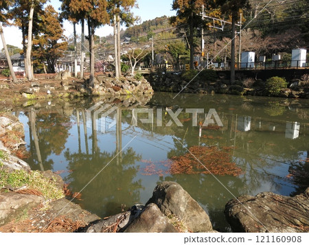 鎌倉市圓覺寺(正門前)白鷺池 鎌倉市圓覺寺(正門前)白鷺池 121160908