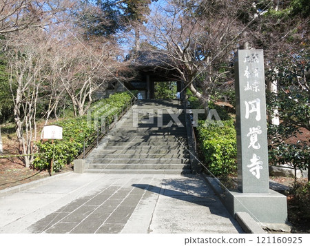 Engakuji Temple (Main Gate) in Kamakura 121160925